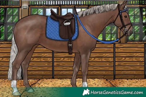 Horse Color:Silver Black 