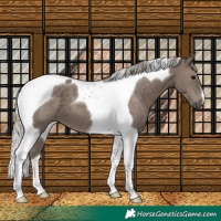 Horse Color:Silver Black Tobiano 