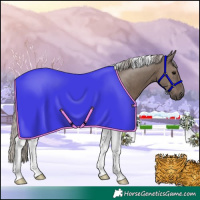 Horse Color:Silver Grullo Tobiano 