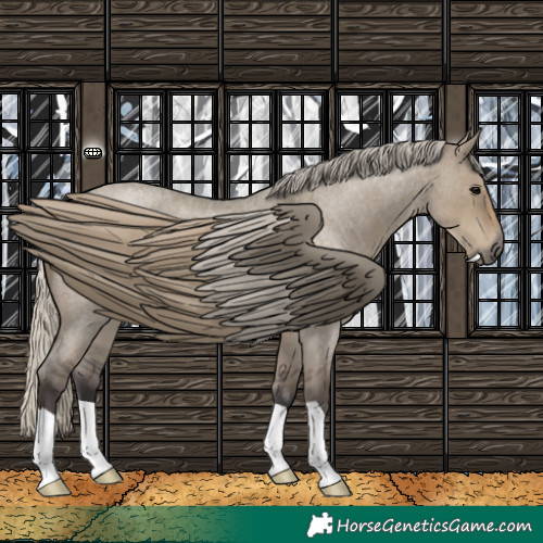 Horse Color:Silver Smoky Grullo Roan
