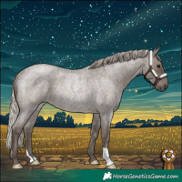 Horse Color:Silver Blue Roan Rabicano 