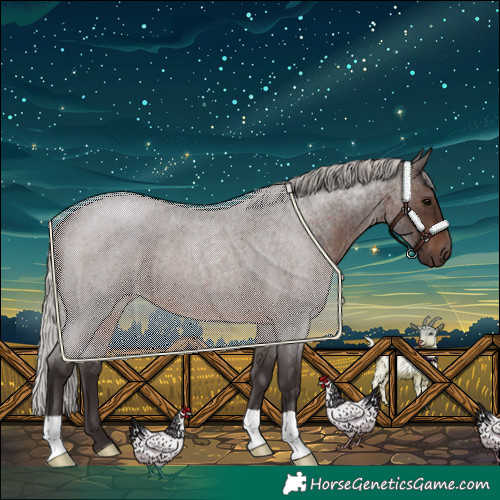 Horse Color:Silver Brown Roan 