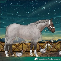 Horse Color:Silver Brown Roan