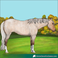 Horse Color:Silver Brown Roan Dun 