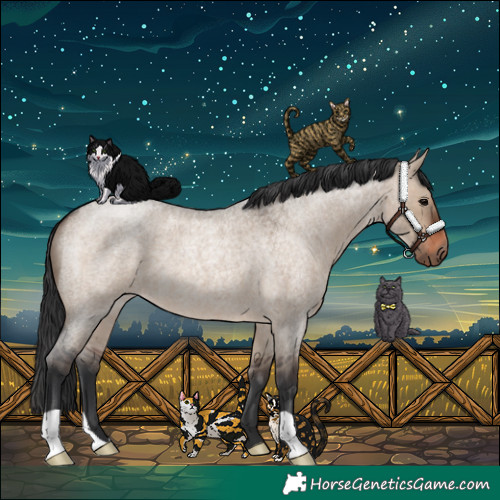 Horse Color:Brown Roan Dun 