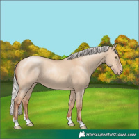 Horse Color:Silver Classic Champagne Dun 