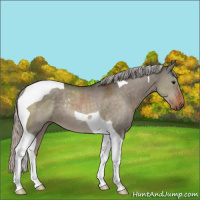 Horse Color:Silver Brown Dun Tobiano Rabicano
