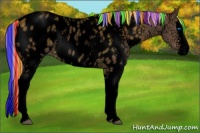 Horse Color:Void Painted White Spotted Silver Brown Ice Roan Dun Splash Near Leopard 