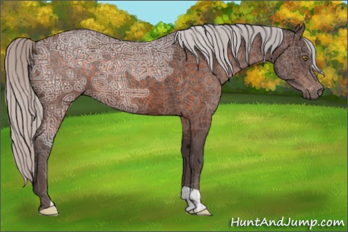 Horse Color:Silver Brown Ice Mushroom 