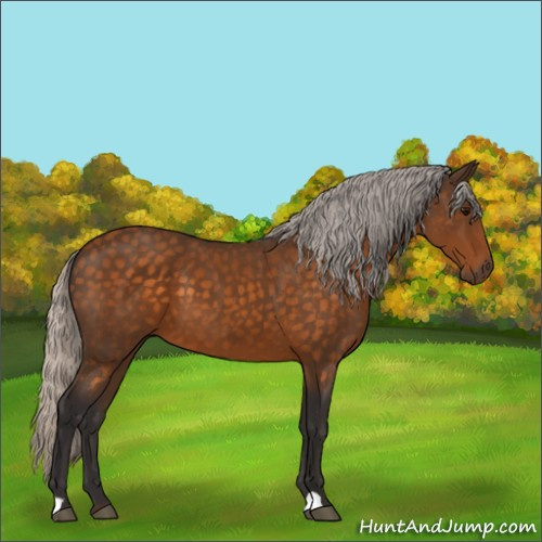 Horse Color:Silver Buckskin 