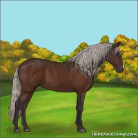 Horse Color:Silver Brown 