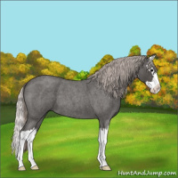 Horse Color:Silver Blue Roan Splash