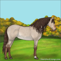 Horse Color:Liver Red Dun Roan Rabicano