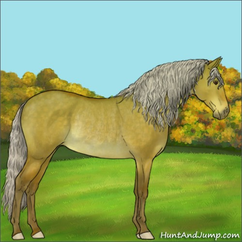 Horse Color:Silver Bay Dun Rabicano 