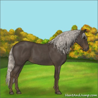 Horse Color:Silver Smoky Blue Roan