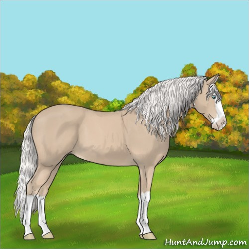 Horse Color:Silver Smoky Creme Splash