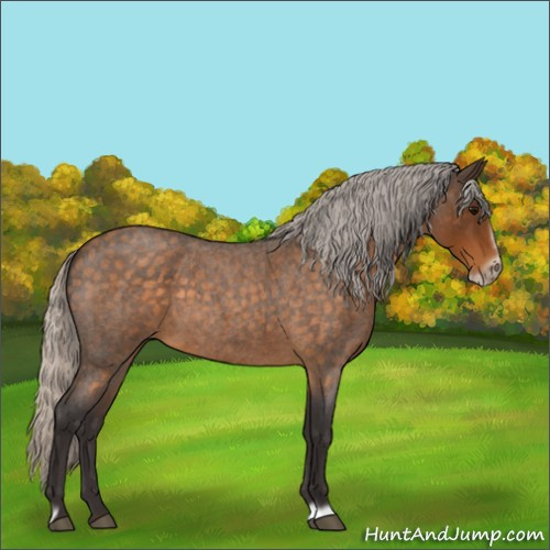 Horse Color:Silver Buckskin Roan Frame 