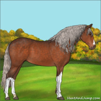 Horse Color:Silver Brown 