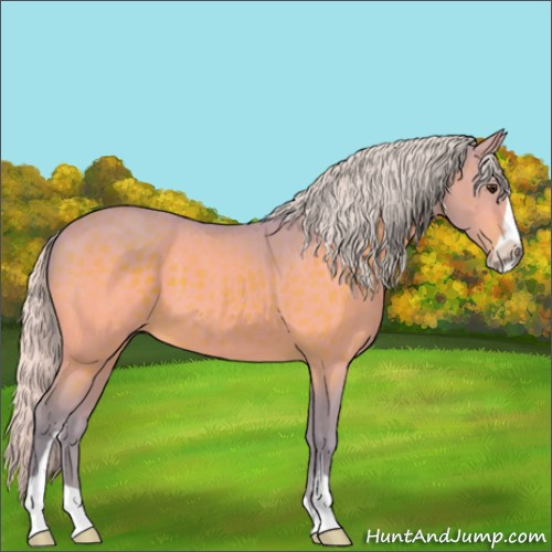 Horse Color:Watercolor Silver Brown Sabino 