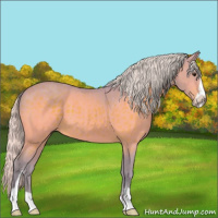Horse Color:Watercolor Silver Brown Sabino