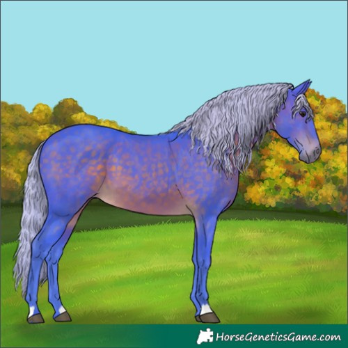 Horse Color:Watercolor Silver Brown 