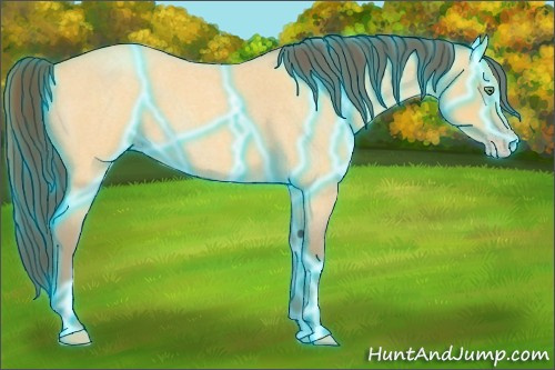 Horse Color:Thunderstruck Amber Cream Champagne Roan 
