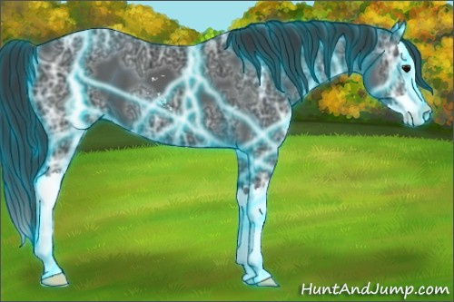 Horse Color:Thunderstruck Black Ice Sabino Splash