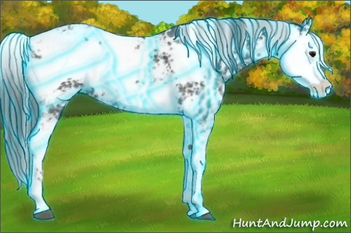 Horse Color:Thunderstruck Black Ice Sabino