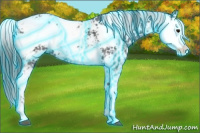 Horse Color:Thunderstruck Black Ice Sabino 