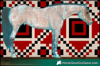 Horse Color:Thunderstruck Bay Roan  and Bay Ice Roan 