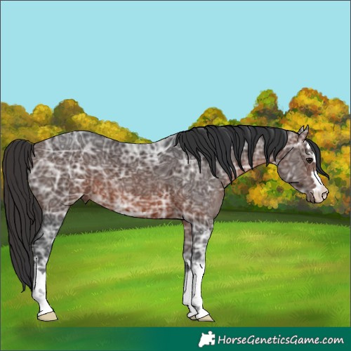 Horse Color:Brown Ice 