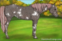 Horse Color:Painted White Spotted Silver Black Ice Rabicano 