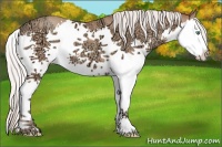 Horse Color:White Spotted Silver Classic Champagne Ice Splash 