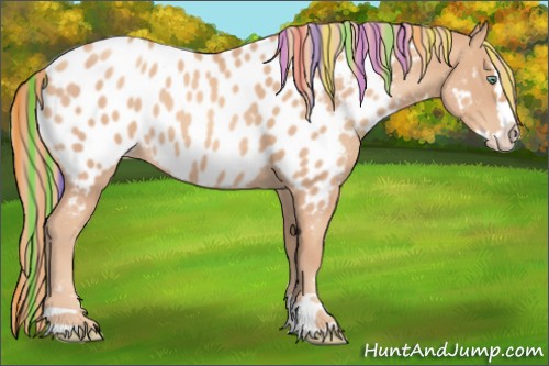 Horse Color:Painted Gold Champagne Roan Splash Appaloosa 