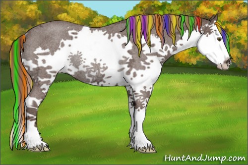 Horse Color:Painted Liver Red Ice Roan Splash Rabicano 