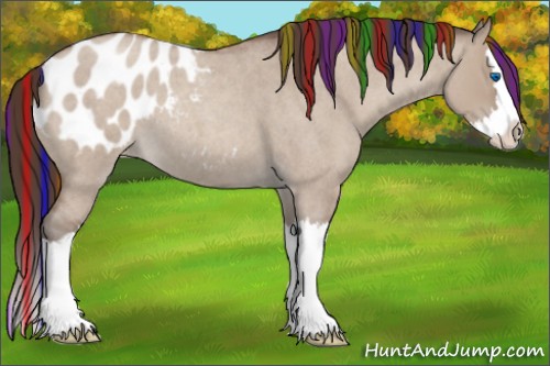 Horse Color:Painted Classic Champagne Roan Dun Splash Appaloosa 