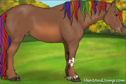 Horse Color:Painted Chestnut Appaloosa 