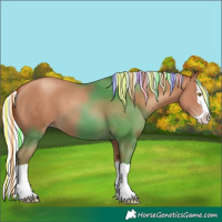 Horse Color:Painted Silver Classic Champagne Splash