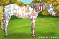 Horse Color:Painted White Spotted Chestnut Pearl Appaloosa Rabicano 