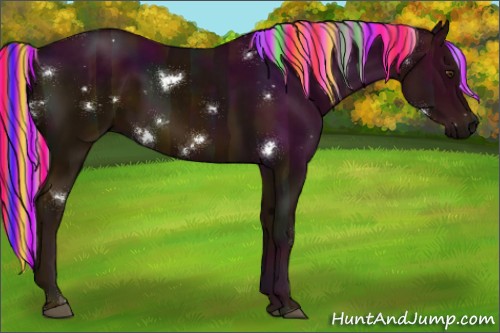Horse Color:Painted White Spotted Midnight Chocolate Palomino Rabicano 