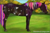 Horse Color:Painted White Spotted Midnight Chocolate Palomino Rabicano 
