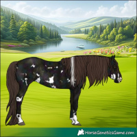 Horse Color:White Spotted Midnight Liver Chestnut Ice Rabicano 