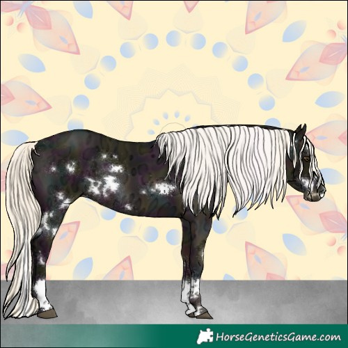 Horse Color:White Spotted Midnight Liver Red Dun Ice Mushroom Splash Rabicano 