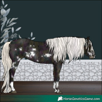 Horse Color:White Spotted Midnight Liver Red Dun Ice Mushroom Splash Rabicano 