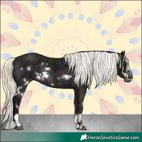Horse Color:White Spotted Midnight Liver Red Dun Ice Mushroom Splash Rabicano 