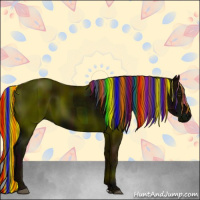 Horse Color:Painted Midnight Liver Chestnut 