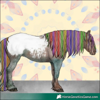 Horse Color:Painted Chestnut Ice Appaloosa
