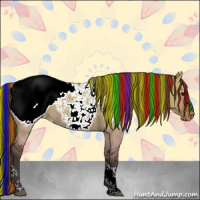 Horse Color:Painted Buckskin Dun Tobiano Appaloosa 