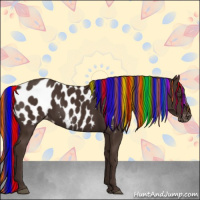 Horse Color:Painted Liver Chestnut Appaloosa Rabicano 