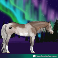 Horse Color:Silver Brown Dun